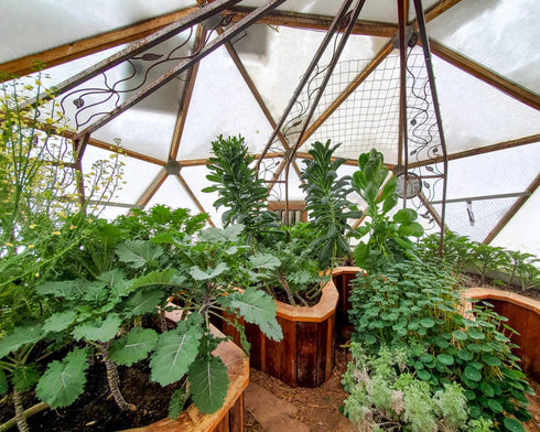 18' Growing Dome Greenhouse Kit