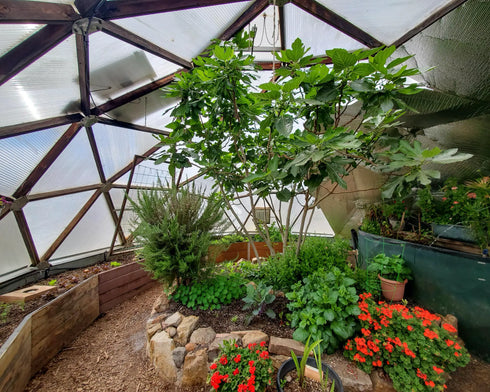 22' Growing Dome Greenhouse Kit