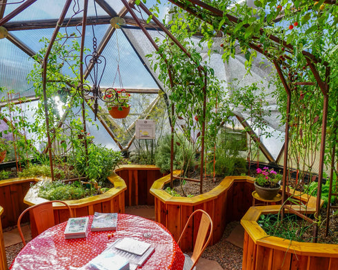 22' Growing Dome Greenhouse Kit