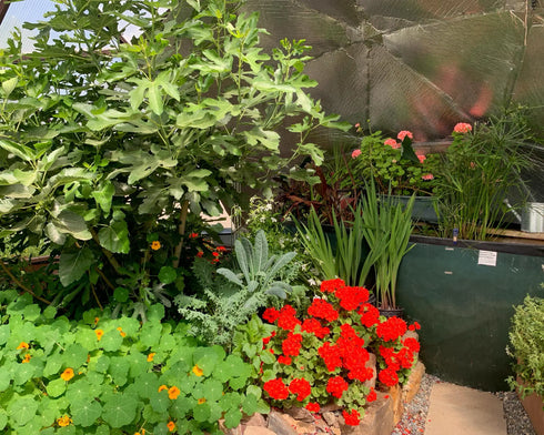 22' Growing Dome Greenhouse Kit