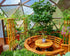 26' Growing Dome Greenhouse Kit