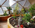 26' Growing Dome Greenhouse Kit