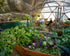 26' Growing Dome Greenhouse Kit