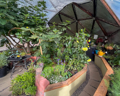 26' Growing Dome Greenhouse Kit