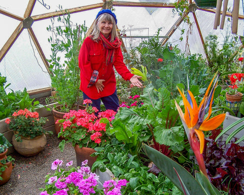 33' Growing Dome Greenhouse Kit (Electric)