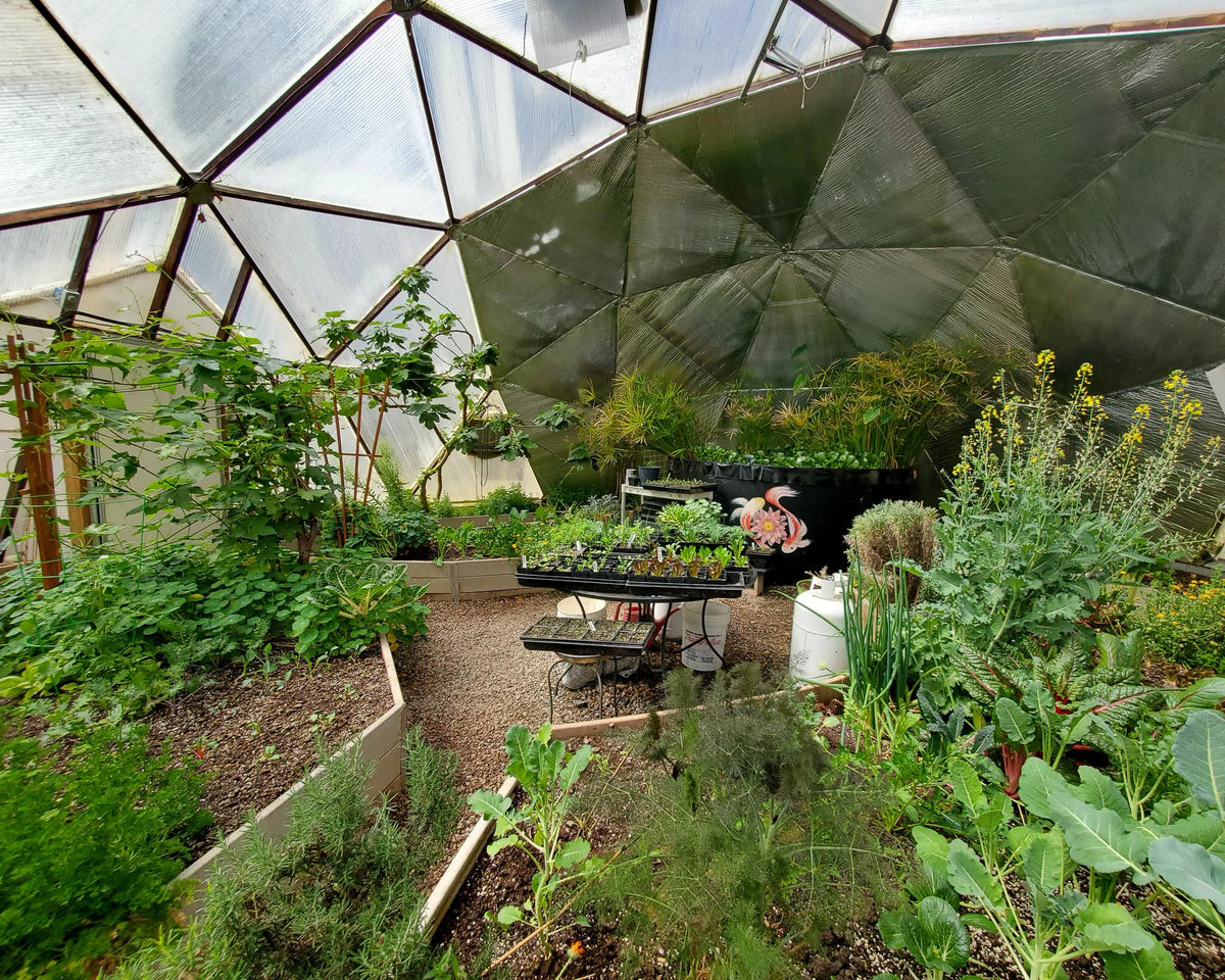Greenhouse Dome Kit For Canadian Climate condition