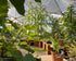 42' Growing Dome Large Greenhouse Kit (Electric)
