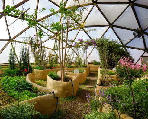 42' Growing Dome Large Greenhouse Kit (Electric)