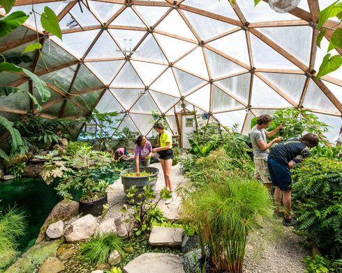 42' Growing Dome Large Greenhouse Kit (Electric)