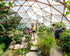 42' Growing Dome Large Greenhouse Kit (Electric)