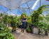 Corrugated Metal Garden Beds for 18' Growing Dome