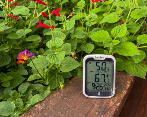 ThermoPro TP358 Digital Thermometer & Hygrometer