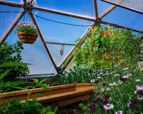 Extra Lower Vent (with Bayliss) 26' Growing Dome