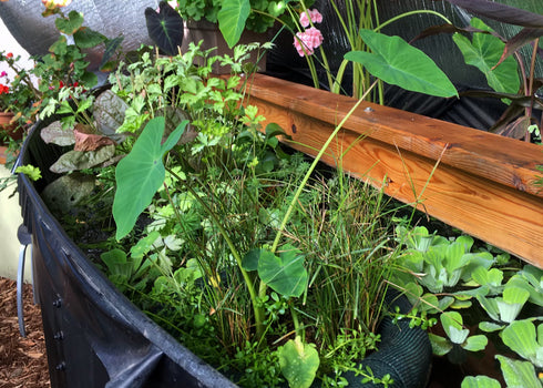 Floating Island Pond Planters