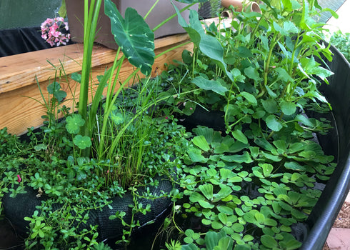 Floating Island Pond Planters