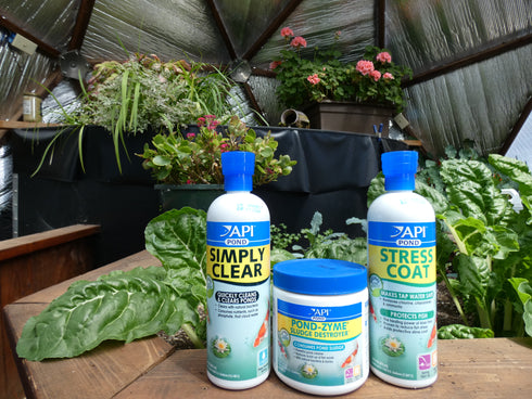 365 PondCare Kit